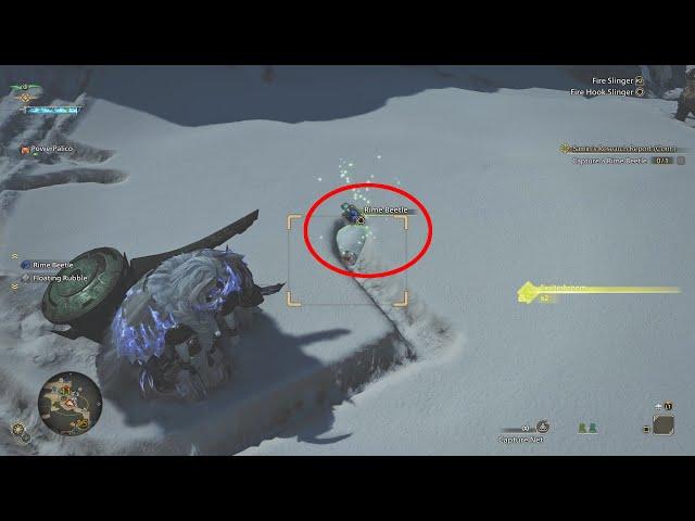 Monster Hunter Wilds - Rime Beetle Location (Samin's Research Report Cont. Side Mission)