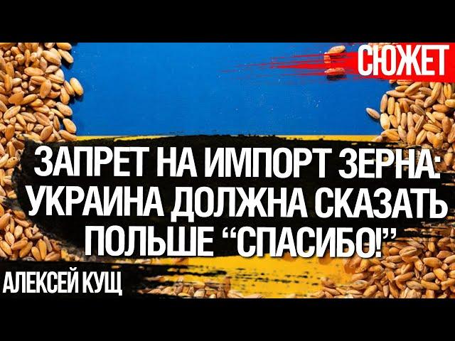 Украина должна сказать Польше “спасибо!” за запрет на импорт зерна. Алексей Кущ