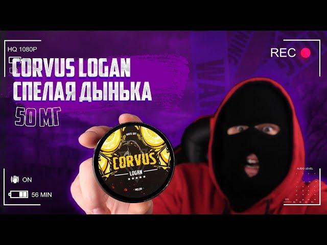 ОБЗОР СНЮС CORVUS LOGAN ДЫНЯ НОВЫЙ ВКУС + КОНКУРС КОНТРОЛИЧ