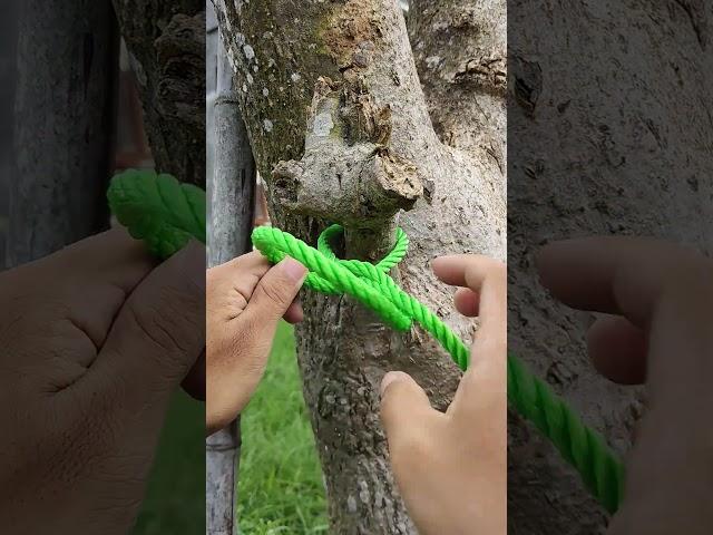 This knot is very easy to use but very difficult to open!