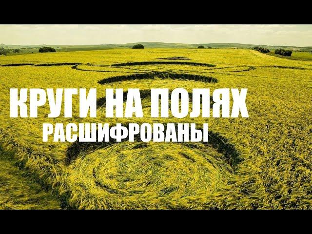 КРУГИ НА ПОЛЯХ РАСШИФРОВАНЫ. ЧТО ОЗНАЧАЮТ РИСУНКИ НА ПОЛЯХ.