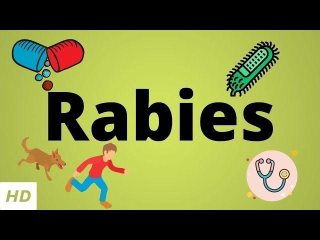 Rabies, Causes, SIgn and Symptoms, Diagnosis and Treatment.