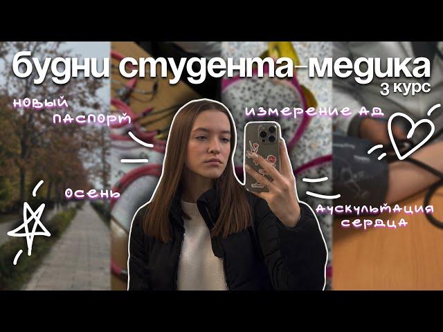 VLOG будни студента-медика на 3 курсе| новый паспорт, измерение АД, аускультация сердца, осень