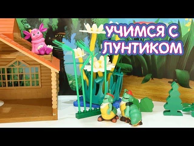 Музыка ветра  Учимся с Лунтиком  Новая серия