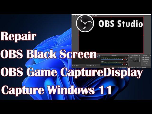 OBS Game CaptureDisplay Capture -Repair OBS Black Screen Windows 11