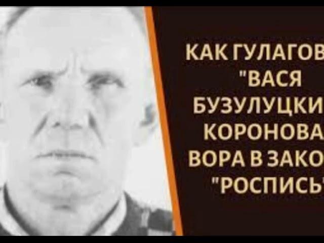 Уничтожитель ссученных — вор в законе Василий Бузулуцкий Биография