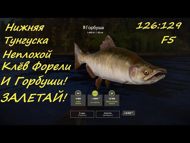 Где половить на реке Нижняя Тунгуска? Русская рыбалка 4