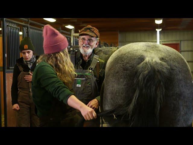 Equine Podiatry Service at Colorado State University