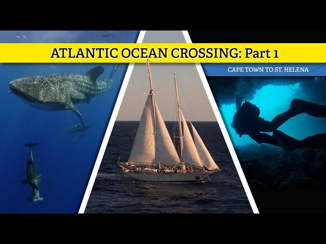 Swim with WORLDS BIGGEST FISH! Mid Atlantic encounter