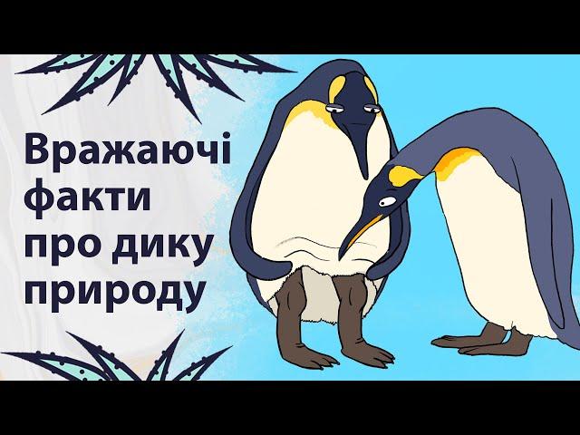 Маловідомі факти про тварин | Реддіт українською