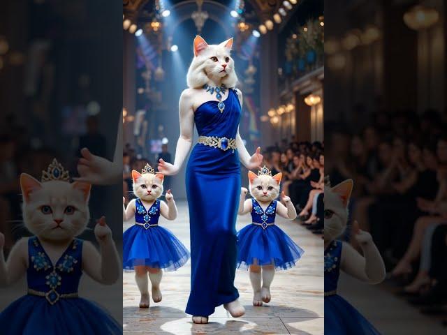 Royal Blue Cat Family Walks the Runway Like QUEENS!  Thanks for 4.1M+ Views !  
