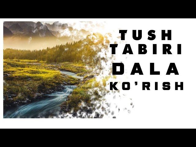 Tushda Dala ko'rish Tabiri