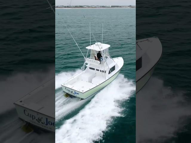 1974 Bertram 31' Flybridge | $149,000 #fishing #boat #viral #reels