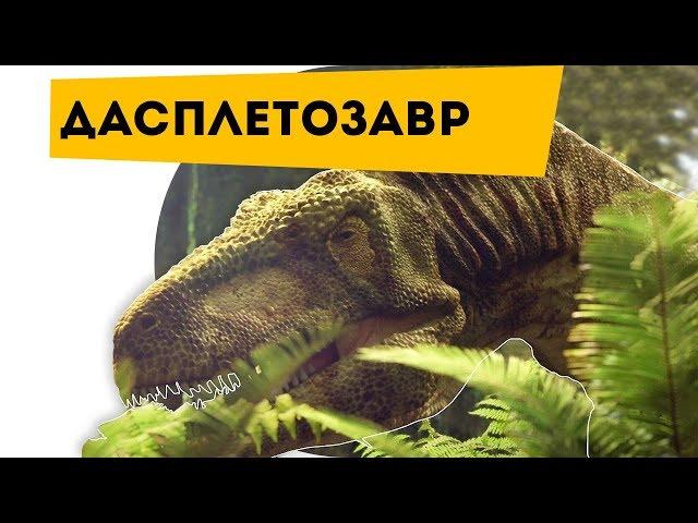 About dinosaurs. HUNTER ANKYLOSAURS Dinosaur Daspletosaurus Daspletosaurus | Science for kids