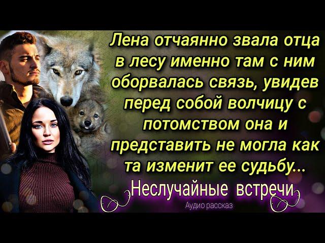 Лена отчаянно звала отца в лесу, а увидев перед собой волчицу с потомством застыла на месте...