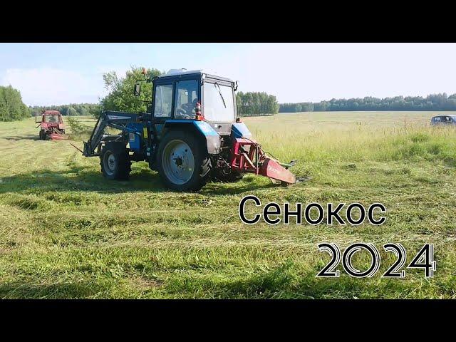 Сенокос 2024