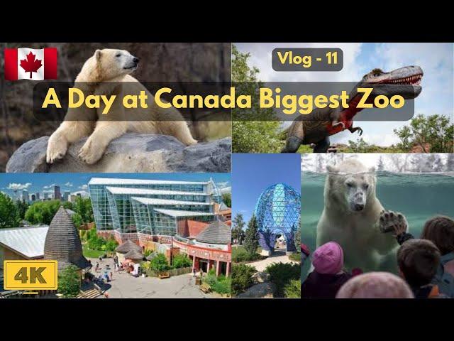 Discover the Wonders of Calgary Zoo: A Journey Through Wildlife!