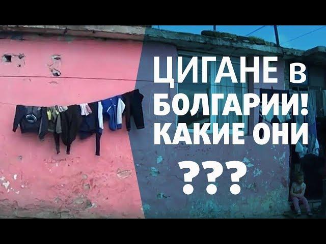 Цигане в Болгарии. Есть с ними проблемы или нет?