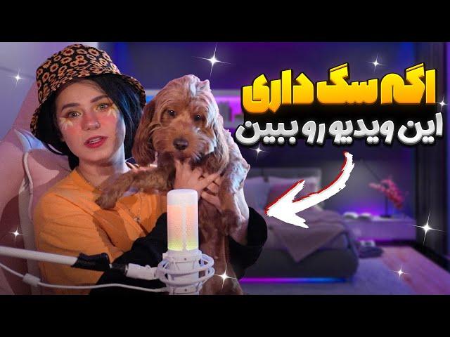 اگه سگ داری حتما باید این ویدیو رو ببینی