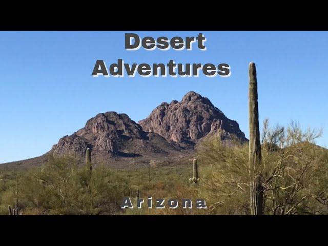 Desert Adventures in Arizona