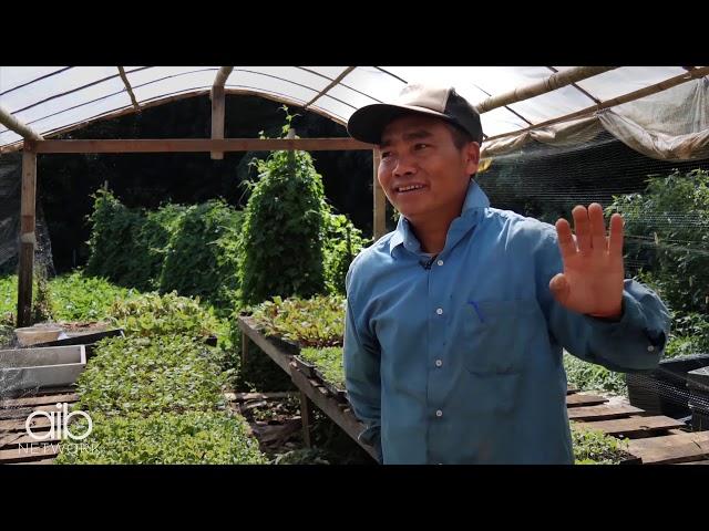 Global Growers | Grow