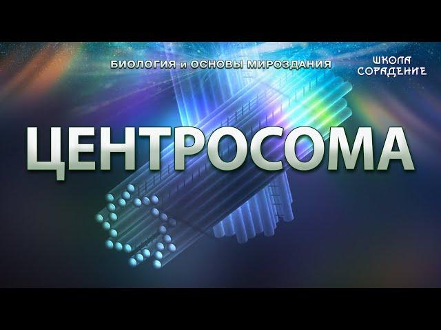 Центросома #весталия #школаcорадение  #биологияИмироздание