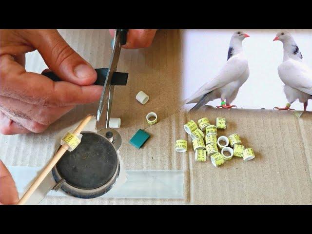 Кольца для голубей именные и маркерные. Легко и просто!!! Personalized and marker rings for pigeons