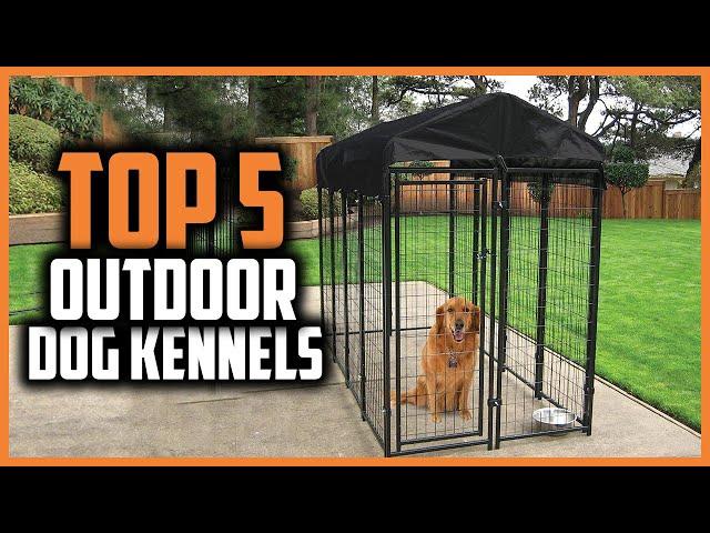  Top 5 Best Outdoor Dog Kennels of 2024