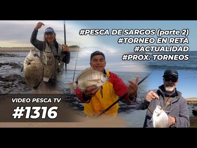 PESCA EN EL CARACOLERO DE CLAROMECÓ, TORNEO EN RETA, ACTUALIDAD, PROX. TORNEOS, PROGRAMA 1316