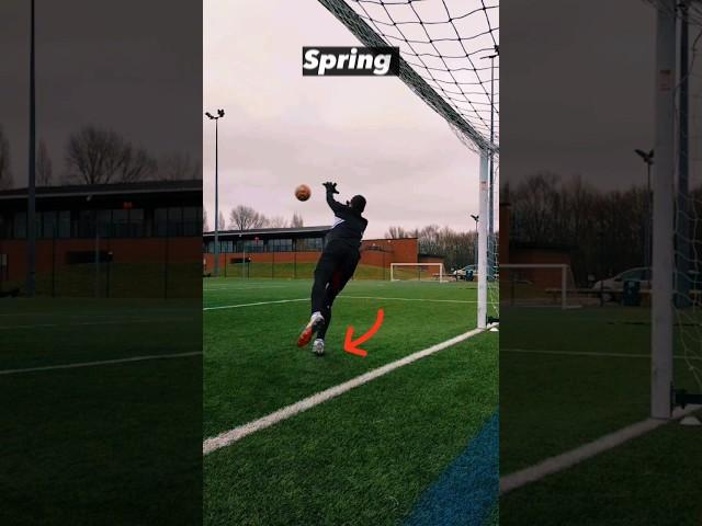 High Dive Tutorial  #goalkeeping #gk #goalkeepers #goalkeepertips #goalkeepersaves #football