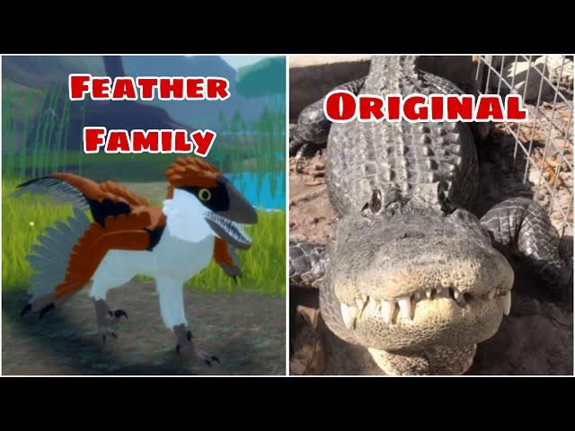 All Bird Calls Original Videos 2! (Roblox Feather Family)