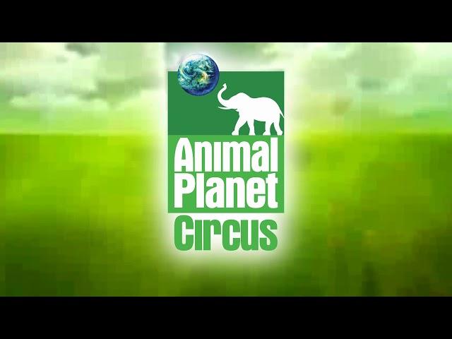 Animal Planet Circus