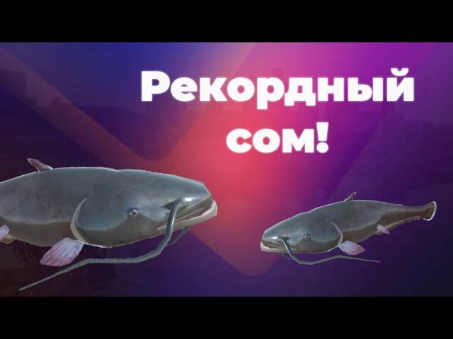 Вы ждали это видео!!! Огромные СОМЫ на КЕТЛИН-ЛЕЙК!