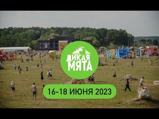 ДИКАЯ МЯТА 2023 || 16-18 ИЮНЯ