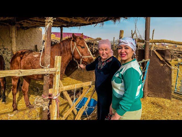 Узбекистан! КАЗАХСКИЙ аул! ЖИЗНЬ Пастуха в ПУСТЫНЕ! Рецепт настоящего БЕШБАРМАКА! Чабан!