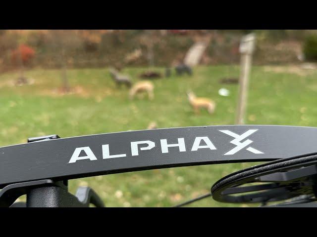 Hoyt Alpha X 33 Review (Alpha leading the Pack)