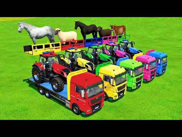 TRANSPORTING COWS, SHEEPS, GOATS, HORSES, BULLS WITH COLORED MINI TRACTORS! - Farming Simulator 22