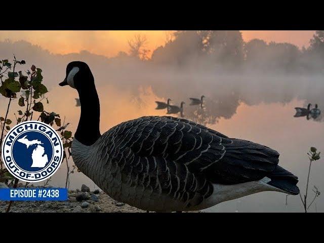 Goose Hunting, Dog Training, Bragging Board; Michigan Out of Doors TV #2438