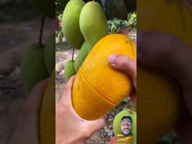 https://youtube.com/shorts/M_ByF5IKEaA?si=_MNAydNFlz87p9XE 
