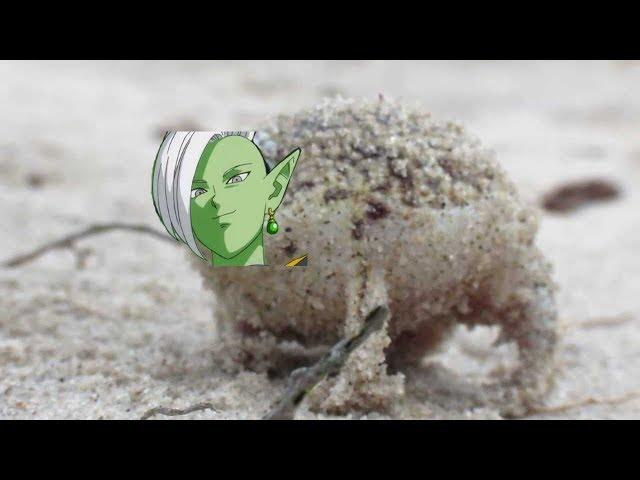 Angry Squeaking Zamasu