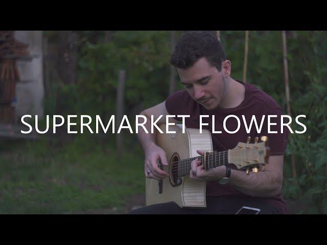 Supermarket Flowers - Ed Sheeran (Fingerstyle Guitar Cover) by Peter Gergely [WITH TABS]