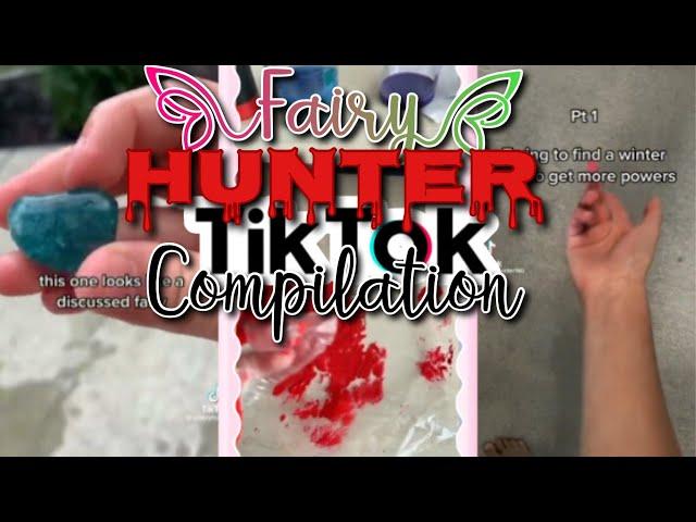 Fairy hunter TikTok compilation #1! Fairy Fairytok