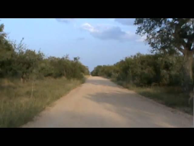 H5 Road in Southern Kruger National Park Near Crocodile Bridge