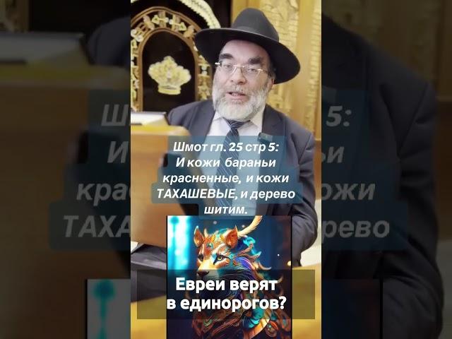 Евреи верят в единорогов?