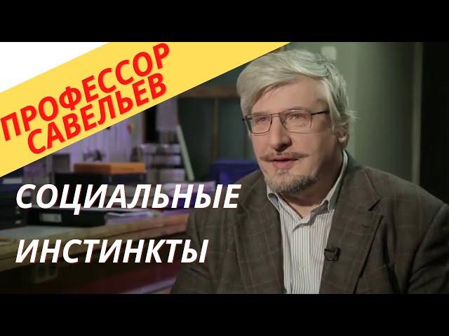 Профессор Савельев -социальные инстинкты