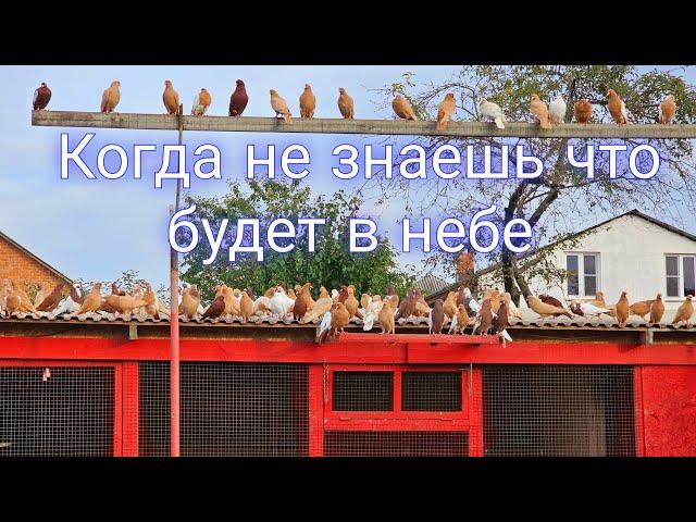 Когда не знаешь что  будет в небе