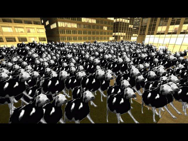 Trying To Escape The Polish Cow Horde in Gmod !!!