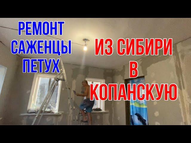 346чТалон забрали/Гибискус,можжевельник и кизильник купили/Ремонт продолжается