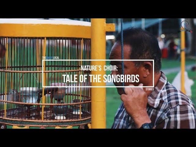 Nature's Choir: Tale Of The Songbirds