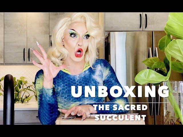 Houseplant Unboxing | The Sacred Succulent